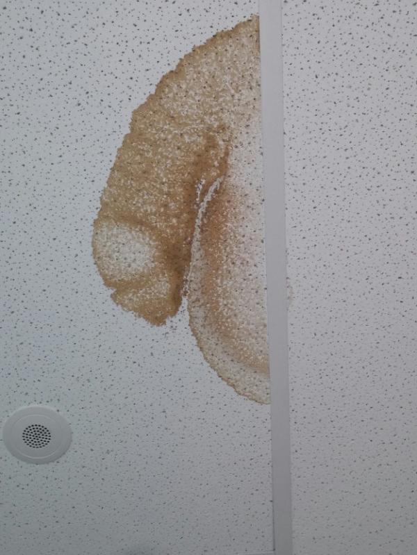 12 невинных фото, вызывающих "грязные" ассоциации у каждого взрослого человека (ФОТО)