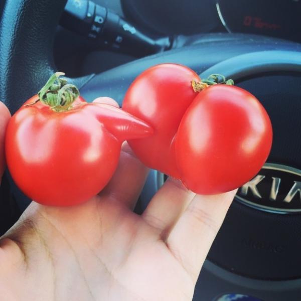 12 невинных фото, вызывающих "грязные" ассоциации у каждого взрослого человека (ФОТО)