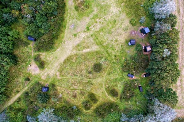 Лесная идиллия. В Дании реализуют уникальный проект (ФОТО)