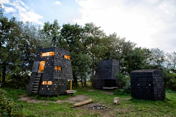 Лесная идиллия. В Дании реализуют уникальный проект (ФОТО)