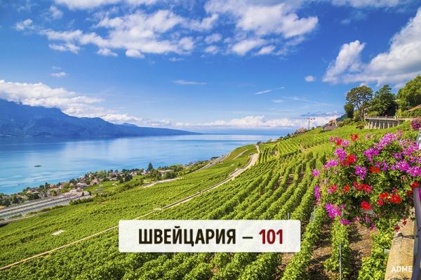 Ученые выяснили, где живут самые умные люди (ФОТО)