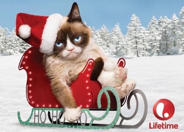 Секрет успеха. Grumpy Cat зарабатывает больше голливудских звезд (ФОТО)