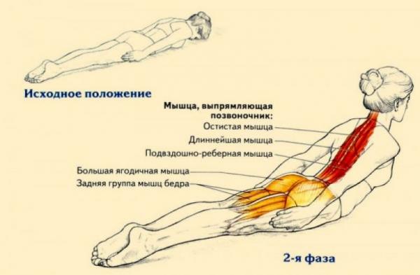 Одно несложное упражнение и вашей осанке можно позавидовать (ФОТО)