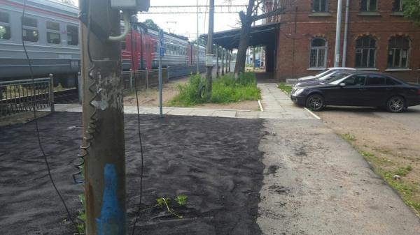 «На века»! В России работники дорожной службы уложили асфальт поверх травы (ФОТО)