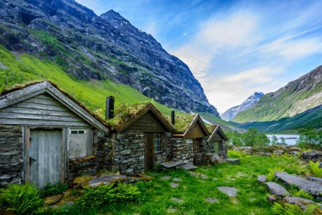 Сказочные скандинавские дома с зелеными крышами (ФОТО)