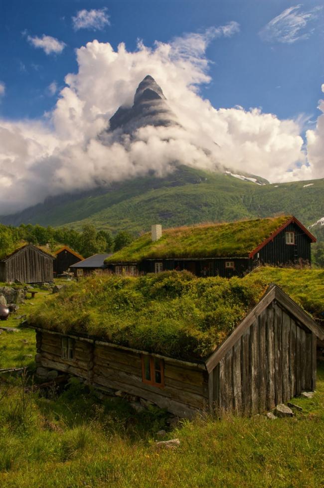 Сказочные скандинавские дома с зелеными крышами (ФОТО)