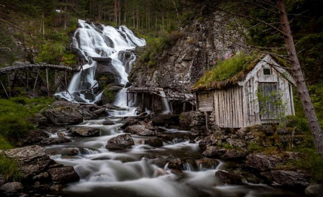 Сказочные скандинавские дома с зелеными крышами (ФОТО)