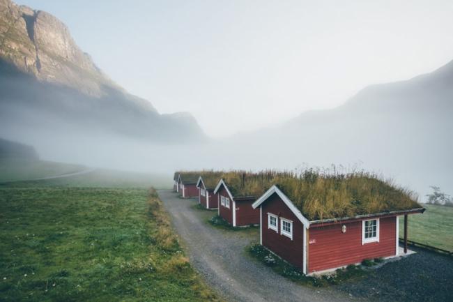 Сказочные скандинавские дома с зелеными крышами (ФОТО)