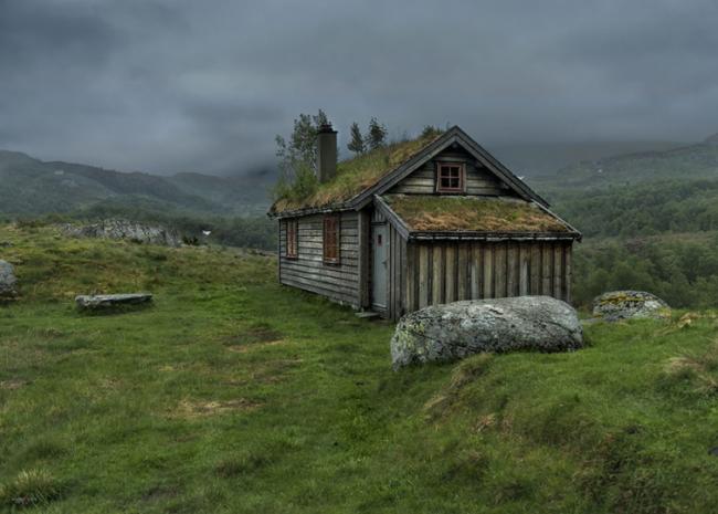 Сказочные скандинавские дома с зелеными крышами (ФОТО)