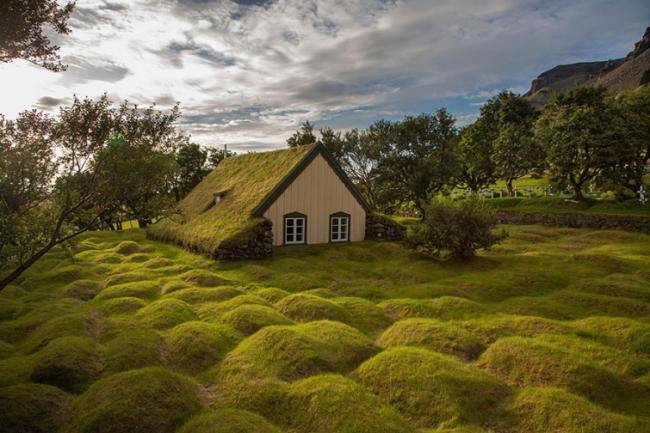 Сказочные скандинавские дома с зелеными крышами (ФОТО)