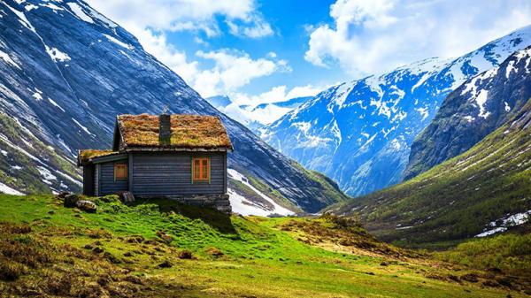20 сказочных скандинавских домиков с живой крышей (ФОТО)