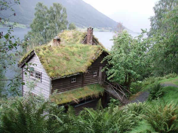20 сказочных скандинавских домиков с живой крышей (ФОТО)