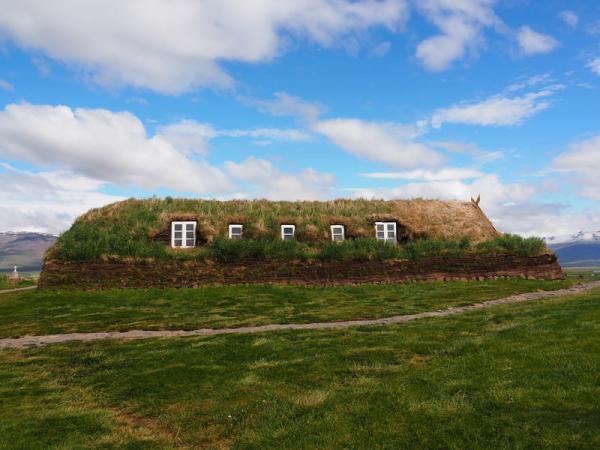 20 сказочных скандинавских домиков с живой крышей (ФОТО)