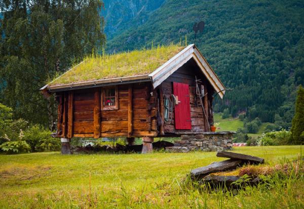 20 сказочных скандинавских домиков с живой крышей (ФОТО)