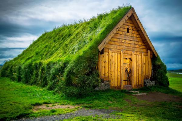 20 сказочных скандинавских домиков с живой крышей (ФОТО)