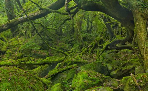 Лучшие курорты Азии, которые стоит посетить (ФОТО)
