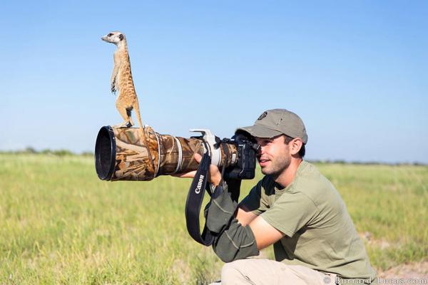 15 доказательств того, что фотограф дикой природы — лучшая профессия в мире