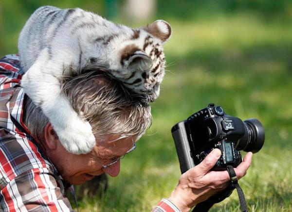 15 доказательств того, что фотограф дикой природы — лучшая профессия в мире