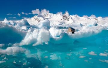 Антарктические уровни углекислого газа достигли максимума за 4 миллиона лет