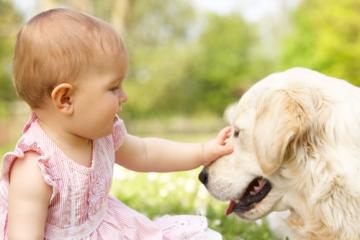Маленькие дети понимают собачий "язык" - ученые