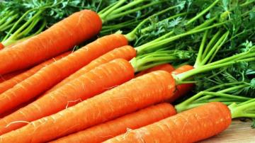 Морковь снижает риск развития рака груди