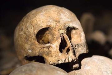 Ученые обнаружили череп, способный переписать историю