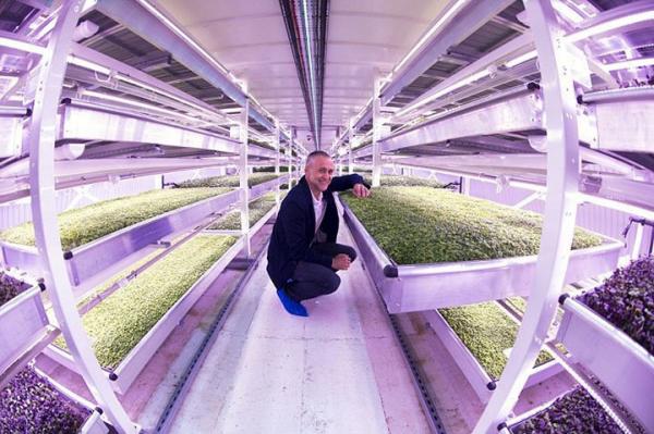 Британцы превратили старое бомбоубежище в эко-ферму (ФОТО)