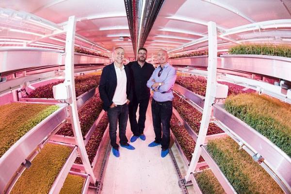 Британцы превратили старое бомбоубежище в эко-ферму (ФОТО)