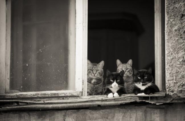 15 снимков, от которых на душе становится тепло (ФОТО)