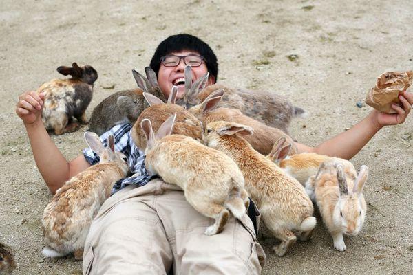 Самое “пушистое место" на Земле: остров кроликов в Японии (ФОТО)