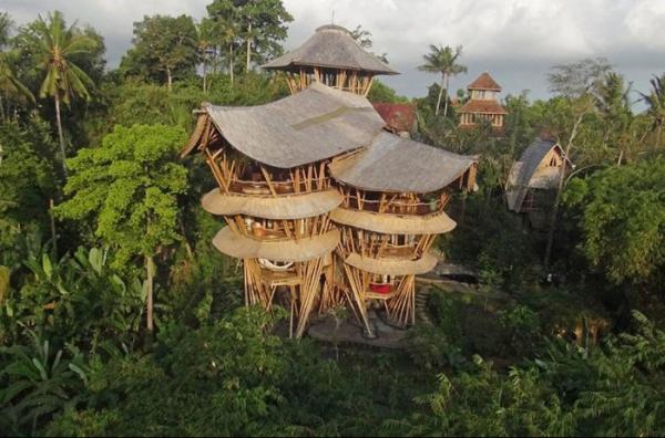 Нестандартный подход к созданию жилища: бамбуковые дома Элоры Харди (ФОТО)