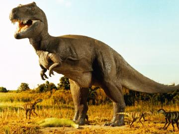 Динозавры вымерли по гибридной причине, - ученые