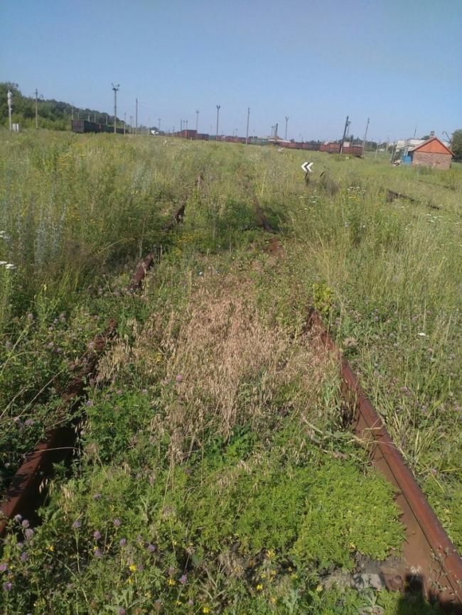 Журналист показал снимки умирающего Дебальцево (ФОТО)