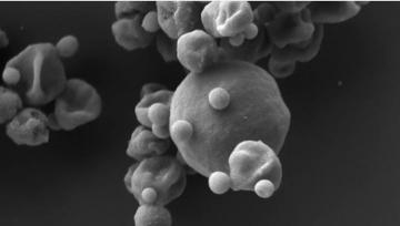 Ученые обнаружили «инопланетные» микробы