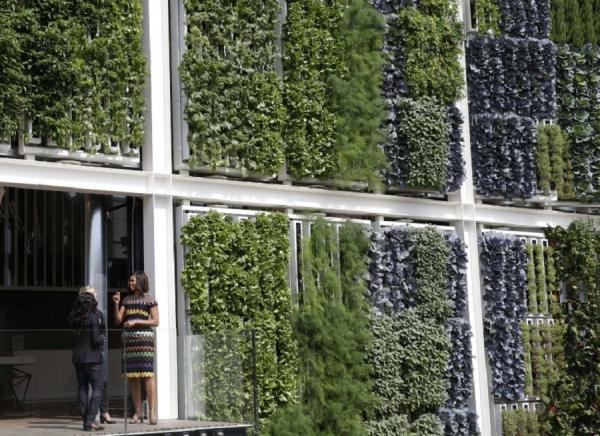 Вертикальные сады — зеленые оазисы крупных городов (ФОТО)