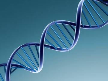Рак способен менять клетки на уровне ДНК