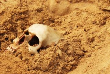 Археологи нашли таинственный череп с необычными зубами
