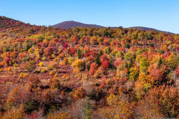 Blue Ridge Parkway: самая красивая дорога Америки (ФОТО)