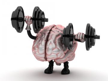 Ученые доказали пользу нагрузок на мозг с помощью умственных тренировок
