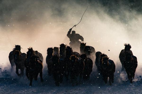 Лучшие из лучших: победители престижного фотоконкурса от культового издания National Geographic (ФОТО)