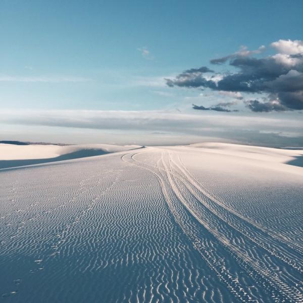 Лучшие фотографии в мире, сделанные на айфон (ФОТО)