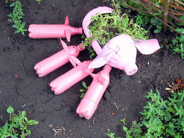 20 дачных снимков, от которых у вас точно поднимется настроение (ФОТО)