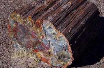 Проклятье древних артефактов (ФОТО)