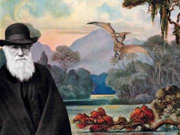 Американский ученый намерен опровергнуть теорию эволюции Дарвина