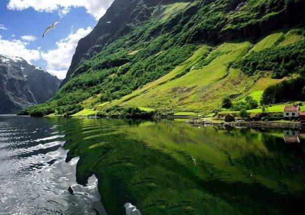 Самые красивые фьорды Норвегии (ФОТО)