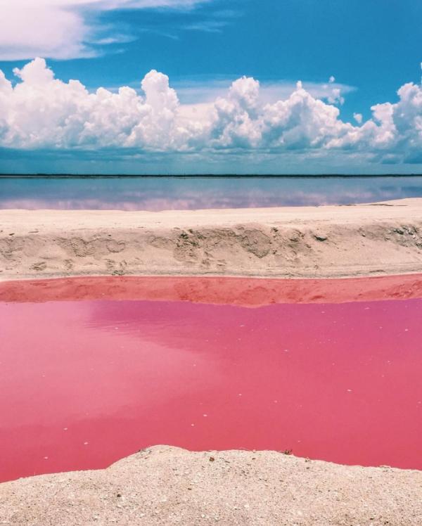 В мире найдено идеальное место для любителей Instagram (ФОТО)