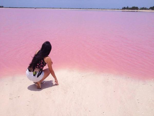 В мире найдено идеальное место для любителей Instagram (ФОТО)