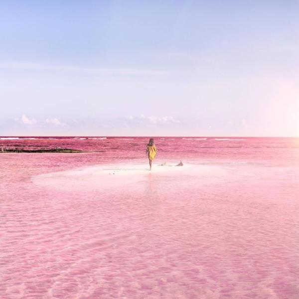 В мире найдено идеальное место для любителей Instagram (ФОТО)
