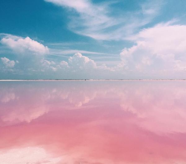 В мире найдено идеальное место для любителей Instagram (ФОТО)