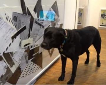 Англичане открыли первую в мире выставку для собак